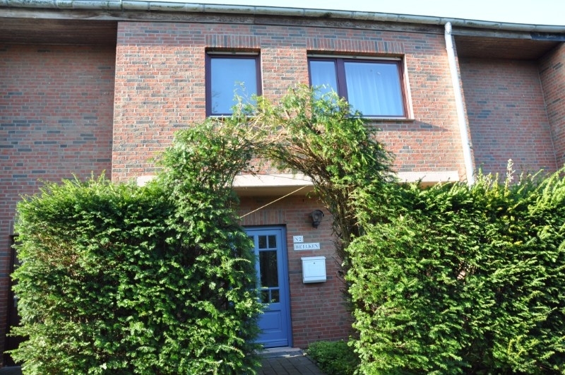 Real Estate Title Image Background