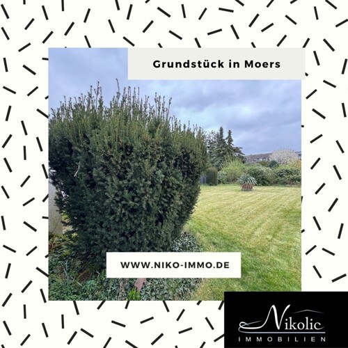 Neues Zuhause?