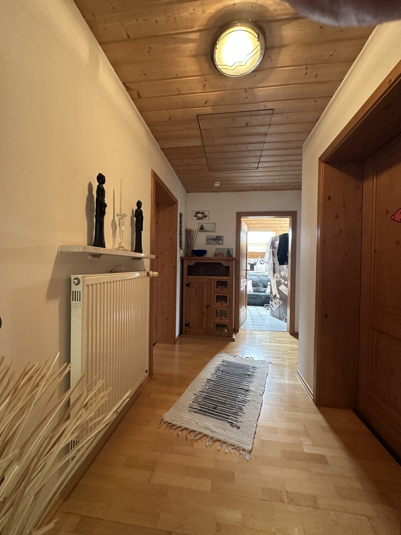1520-DG-Diele