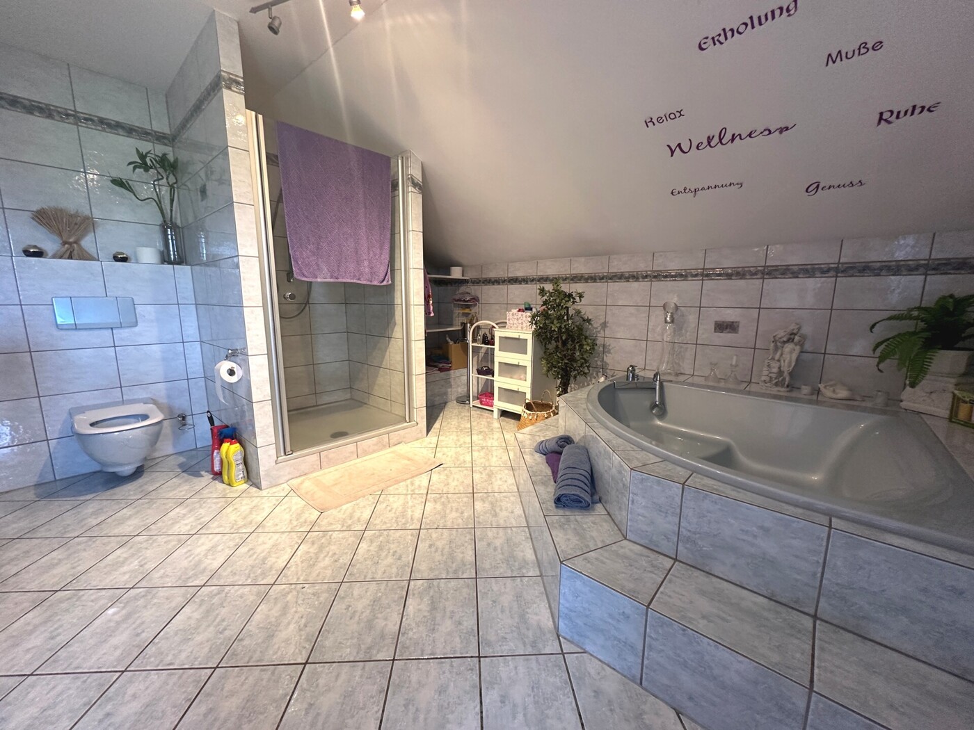 1520-DG-Bad-Dusche