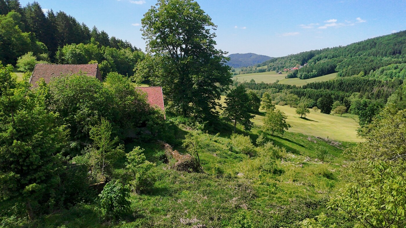 Umgebung
