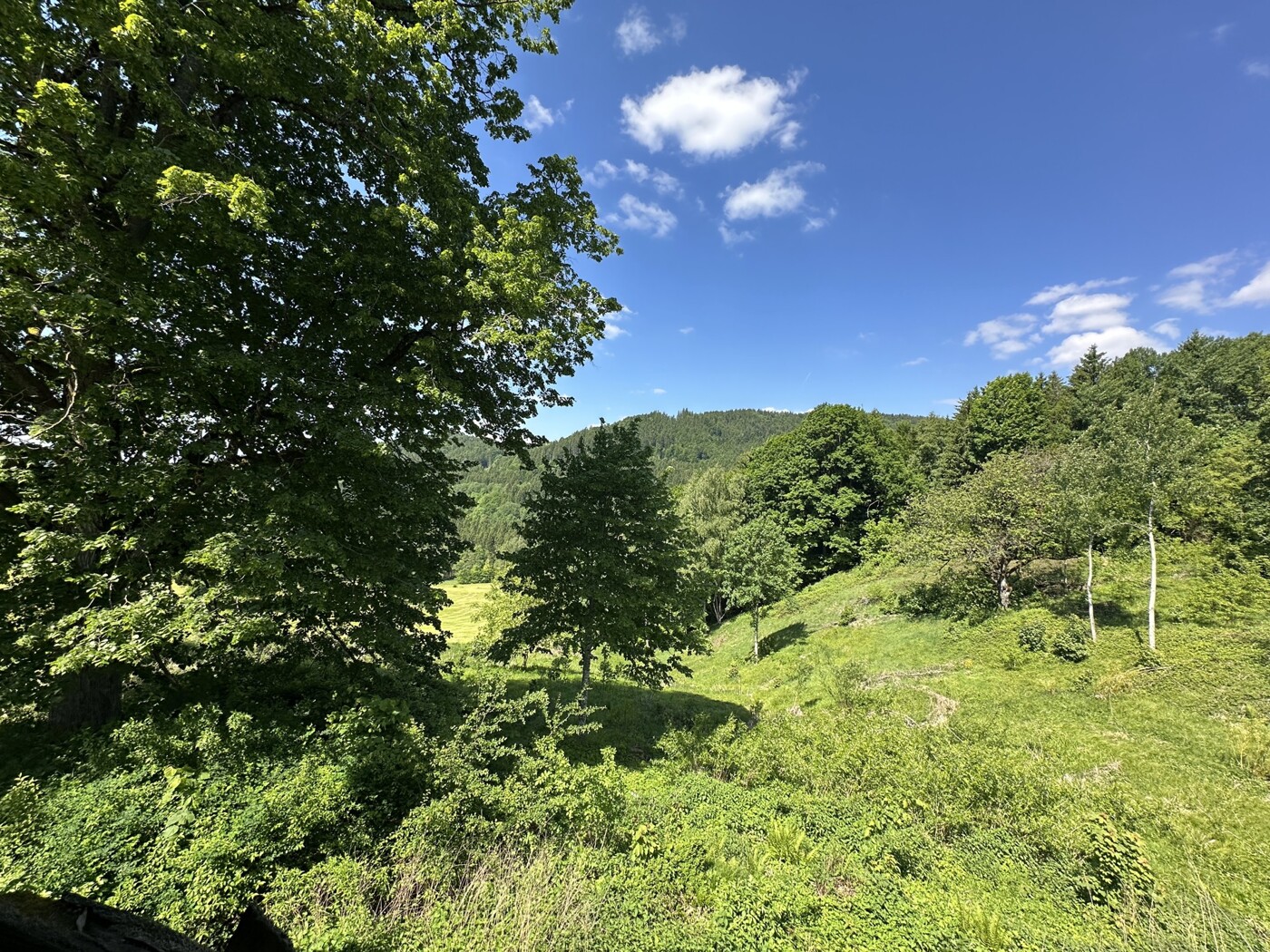 Ausblick