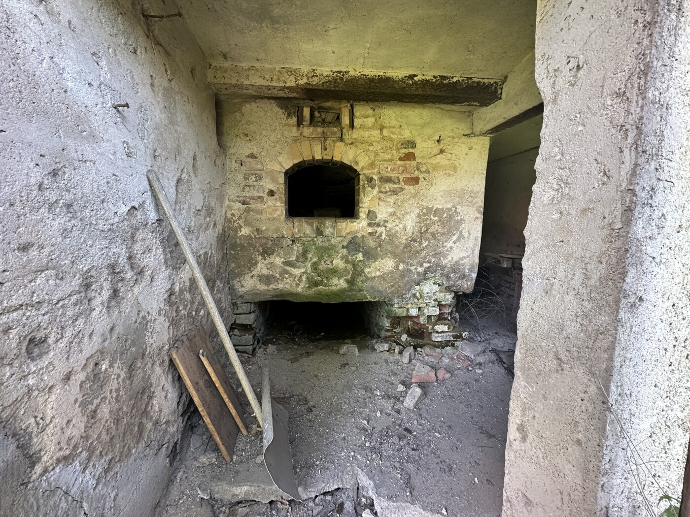 Backhaus