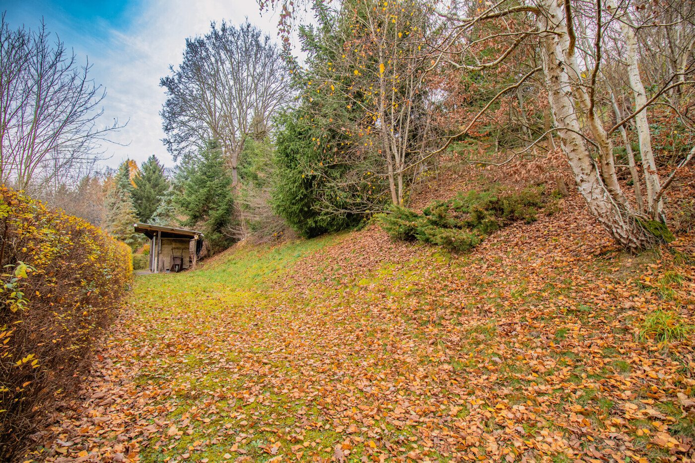 große Wiese unterer Gartenbereich
