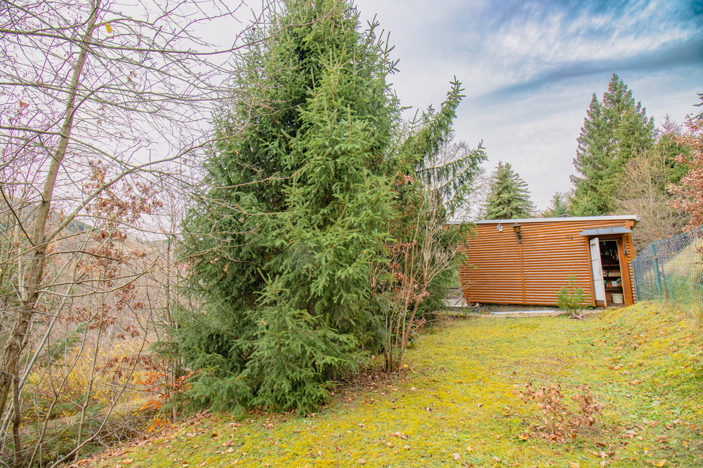 große Wiese oberer Bereich