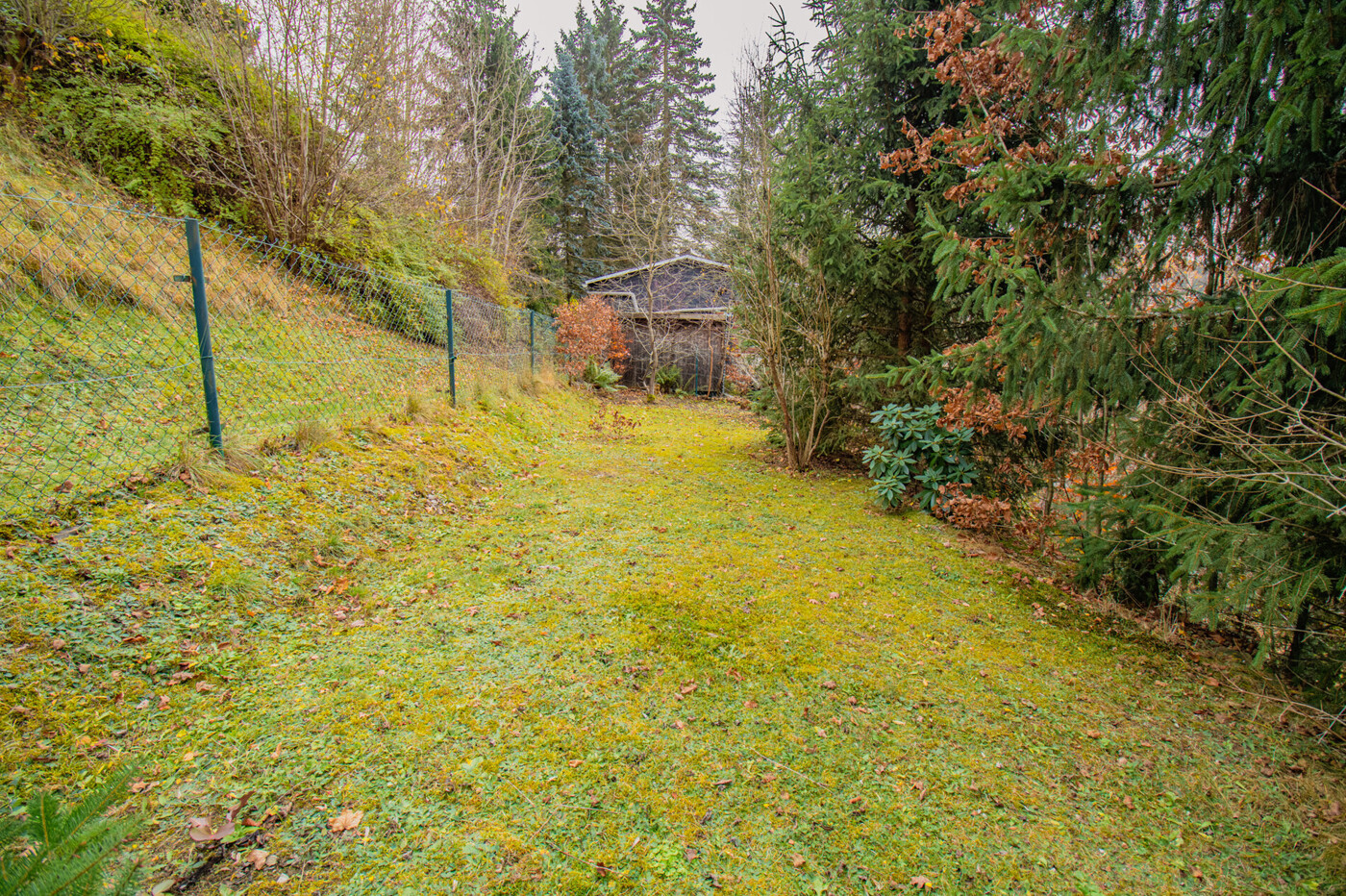 große Wiese oberer Bereich-1