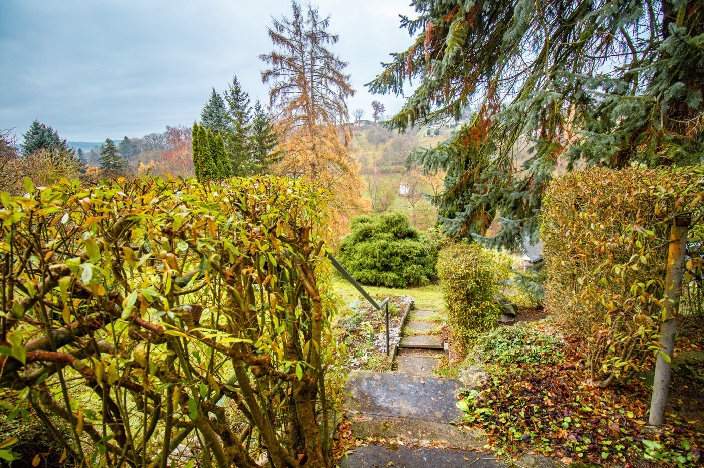 Weg zur Gartenhütte