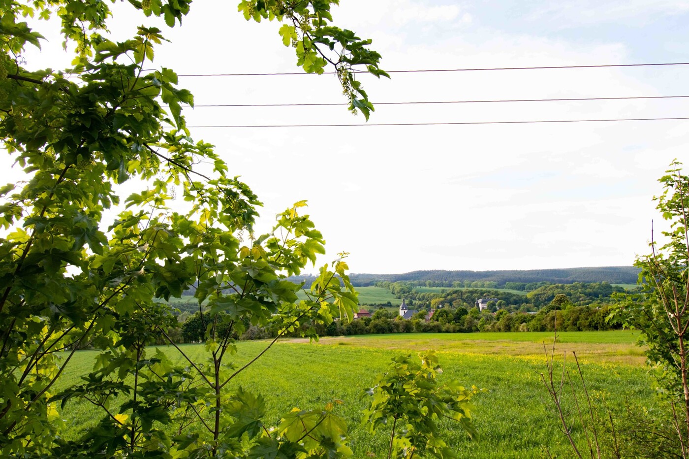 Blick auf Schloss Oppurg