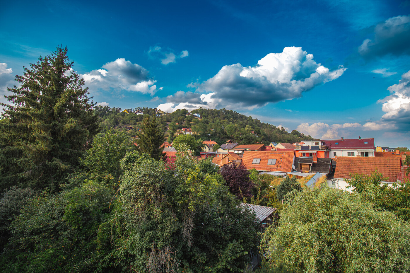 Ausblick Balkon