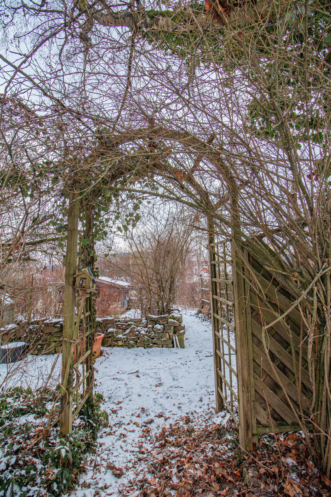 Zugang unterer Gartenbereich