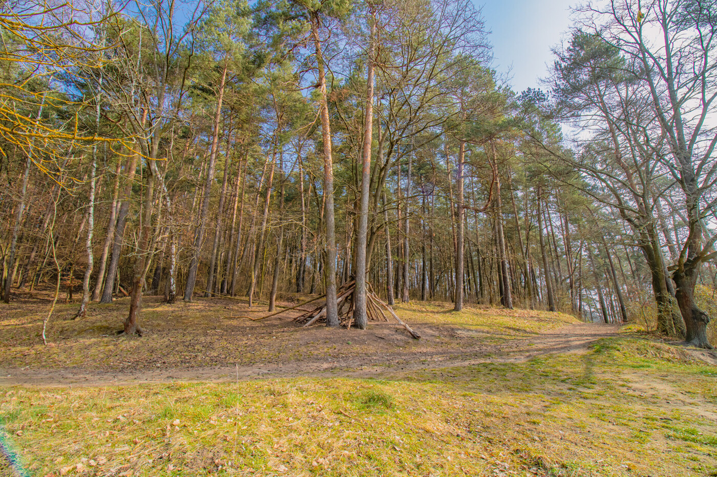 Waldweg hinter dem Grundstück