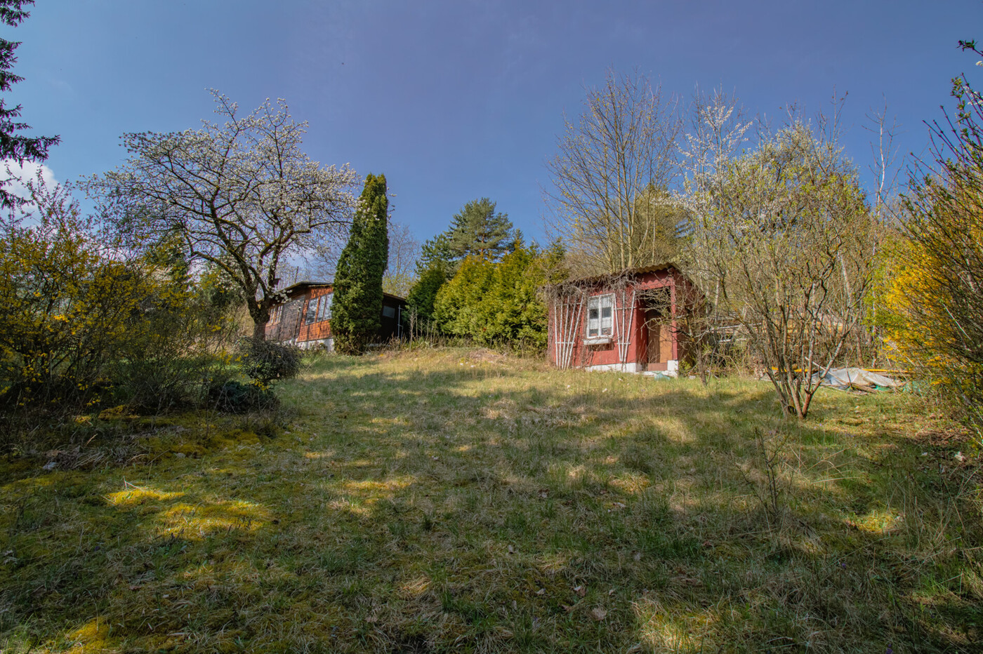 Wiese und Schuppen
