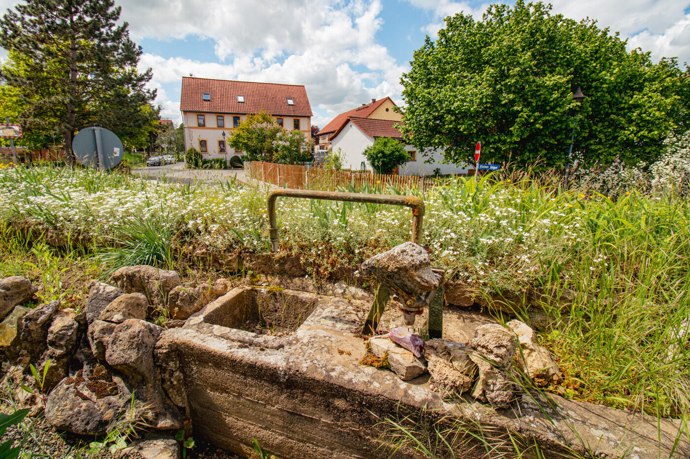 Gartenimpressionen