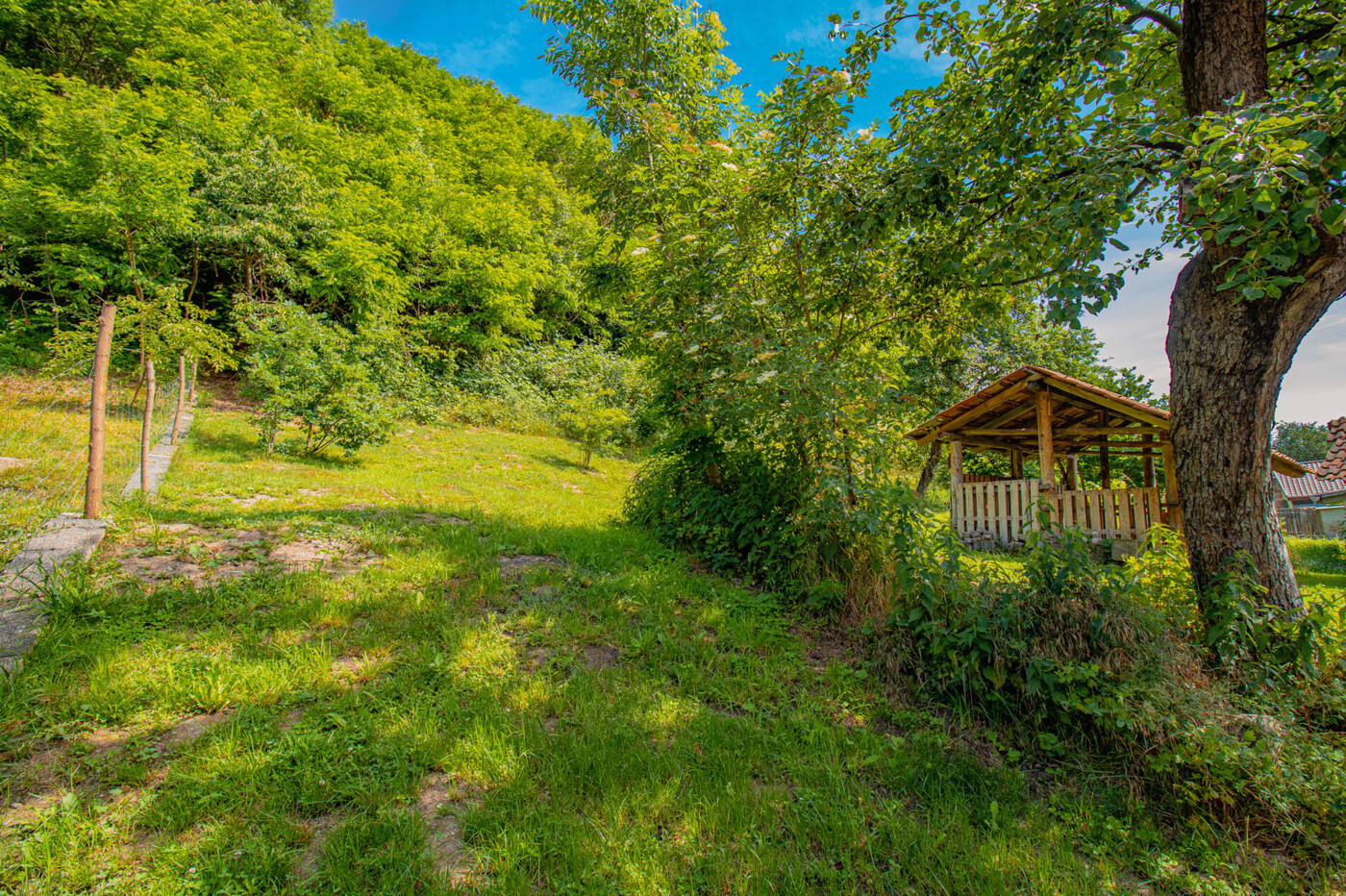 Garten