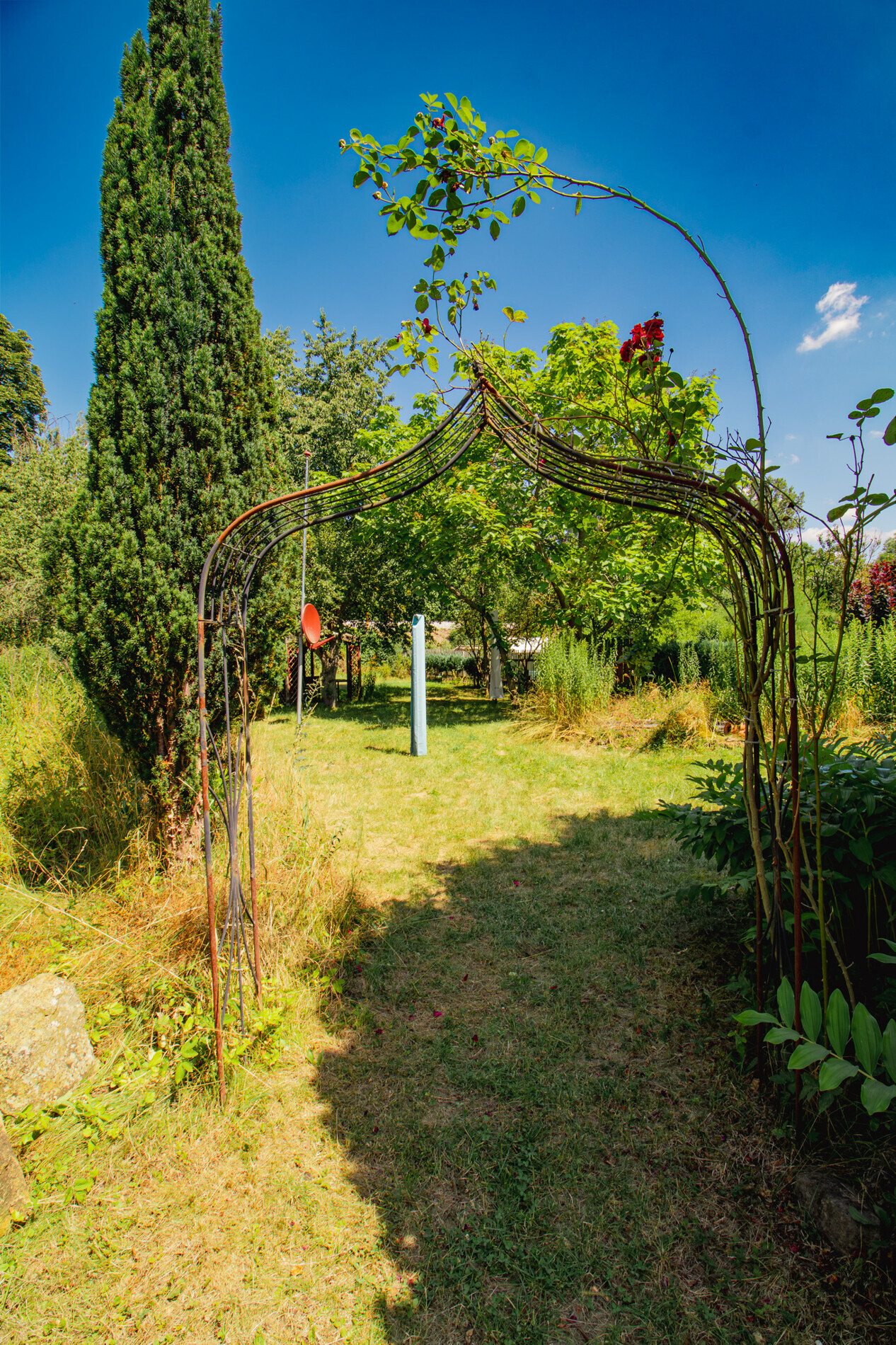 Garten-6