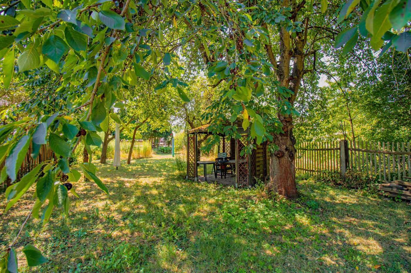 Garten-2