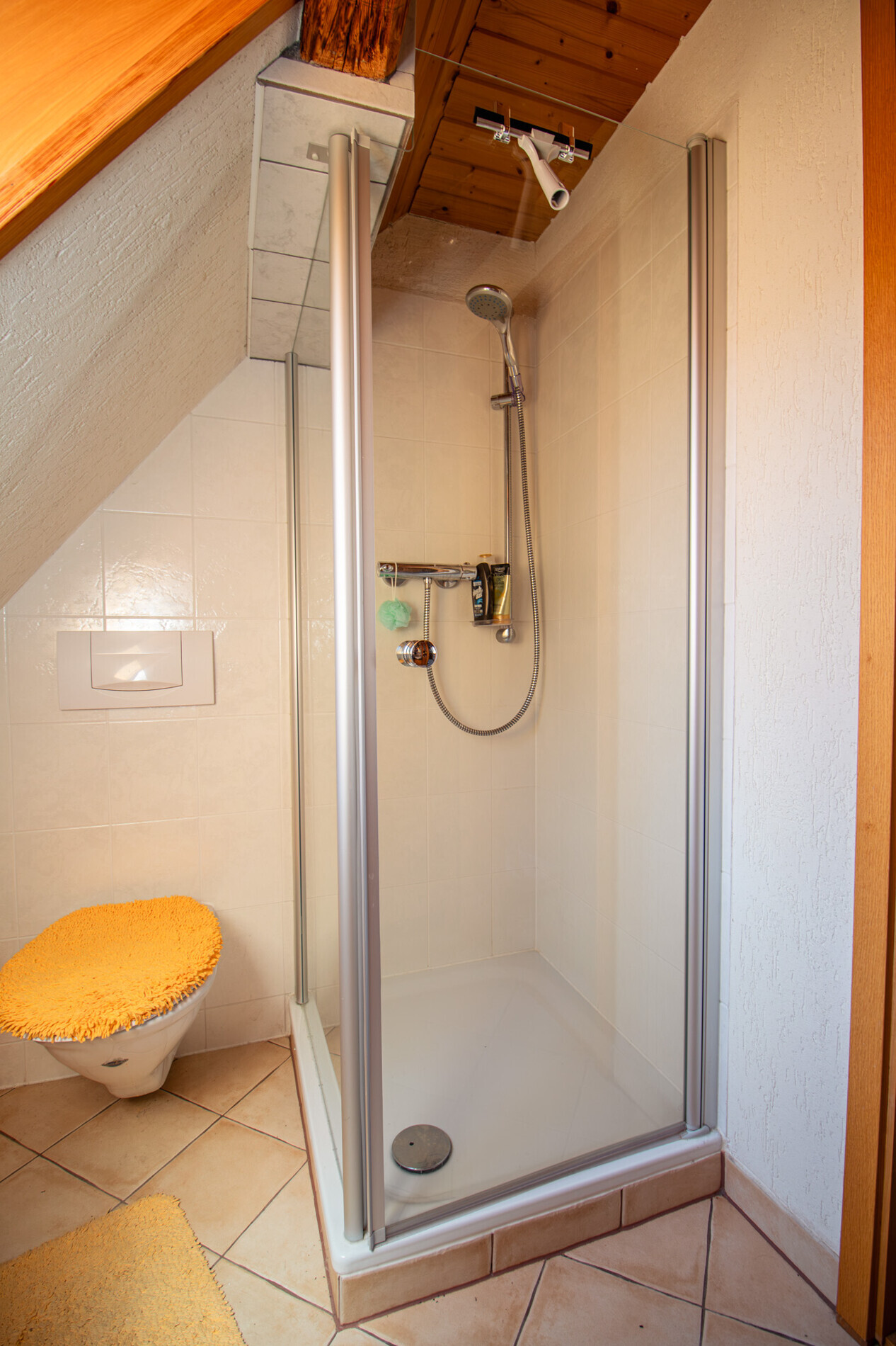 DG-Badezimmer Dusche