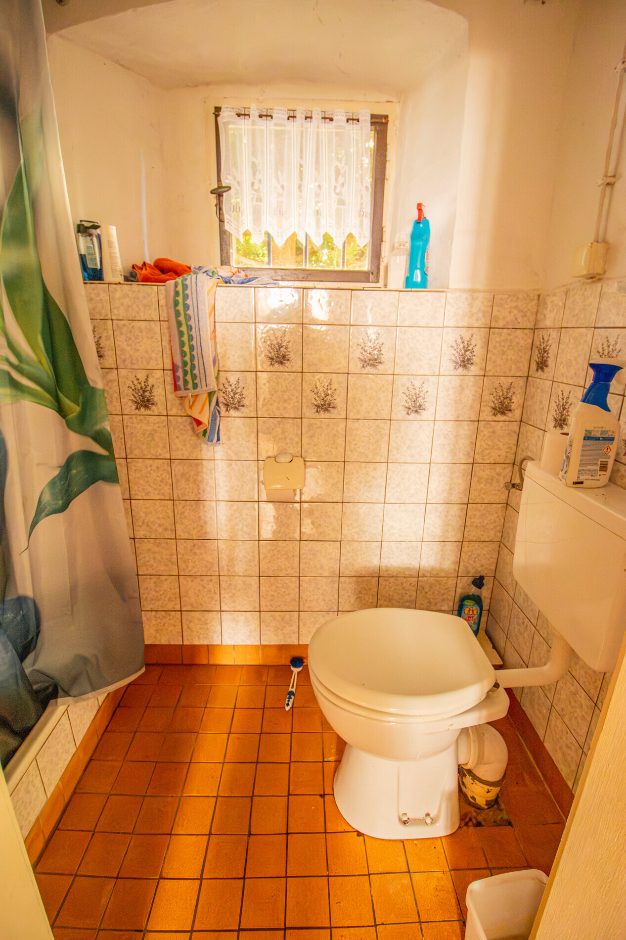 EG-WC