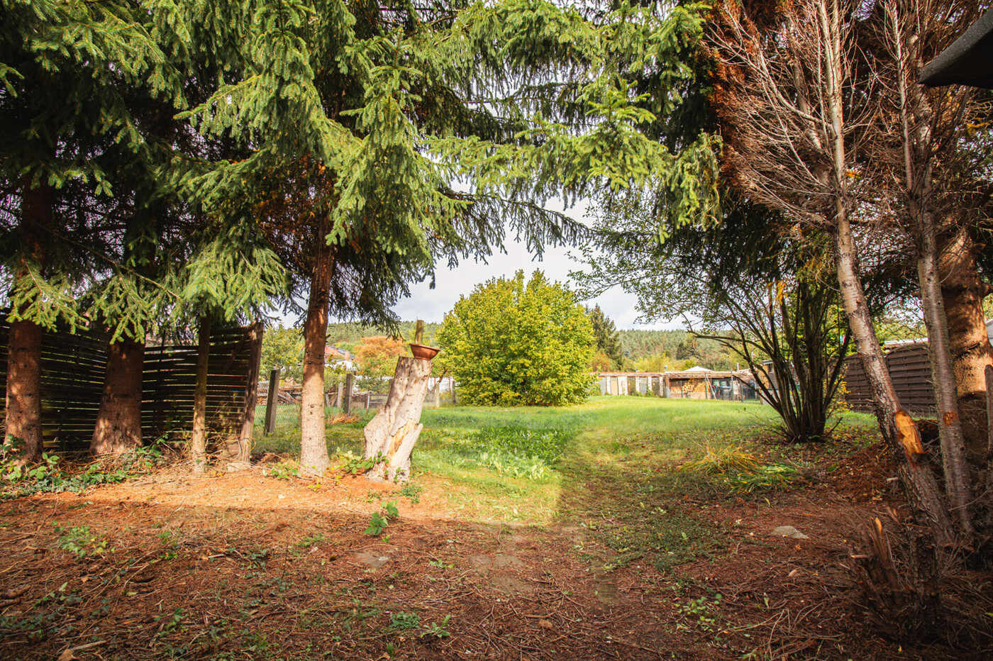 Zugang Garten