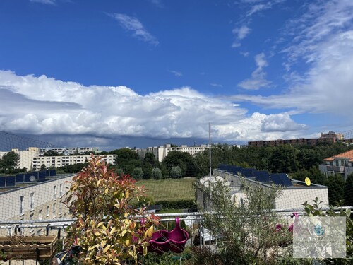 Blick von der Dachterrasse