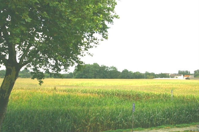 Blick aus dem Küchenfenster