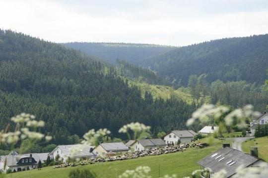 Ausblick Loggia 3.jpg