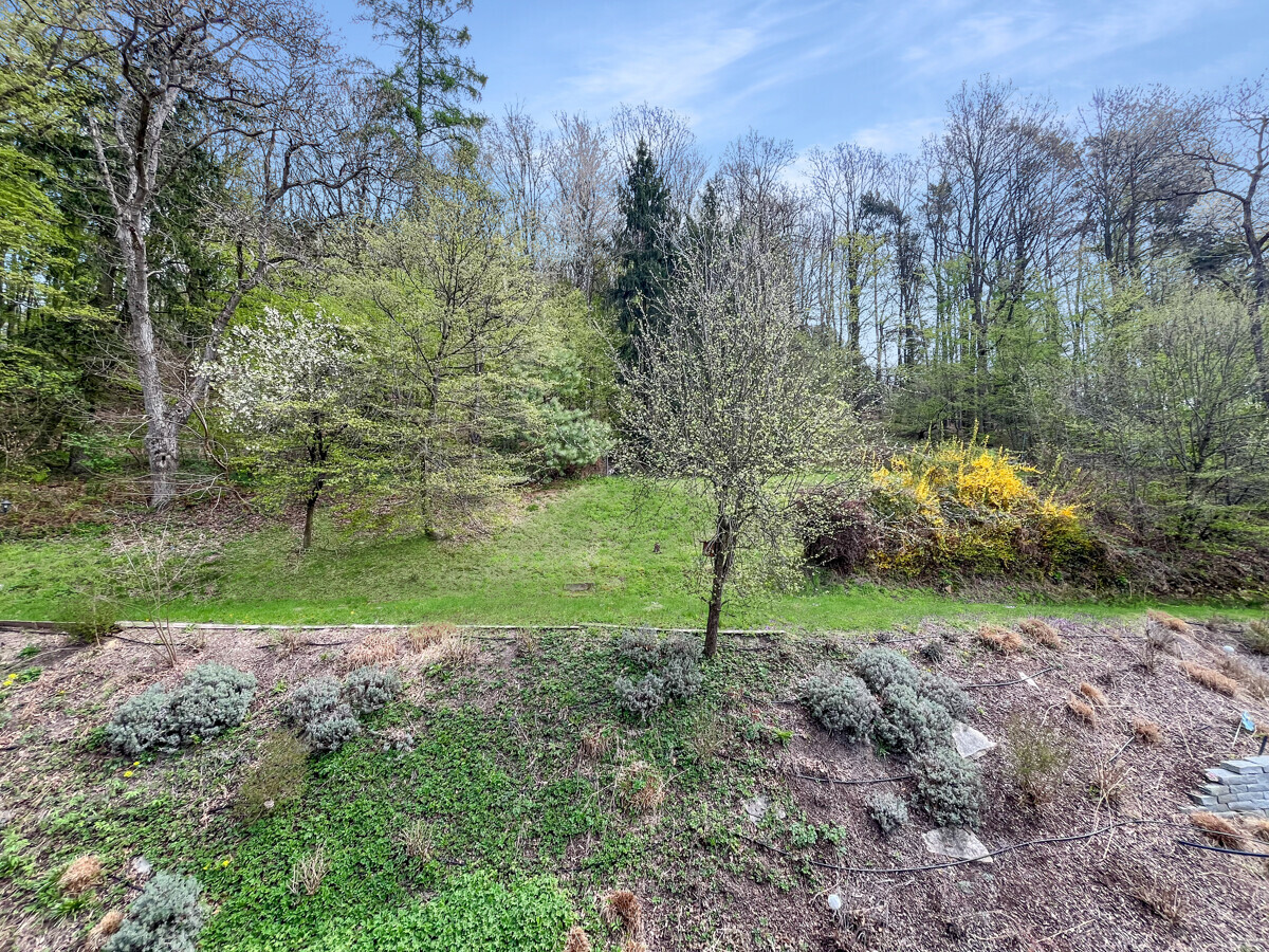 Garten & Wald