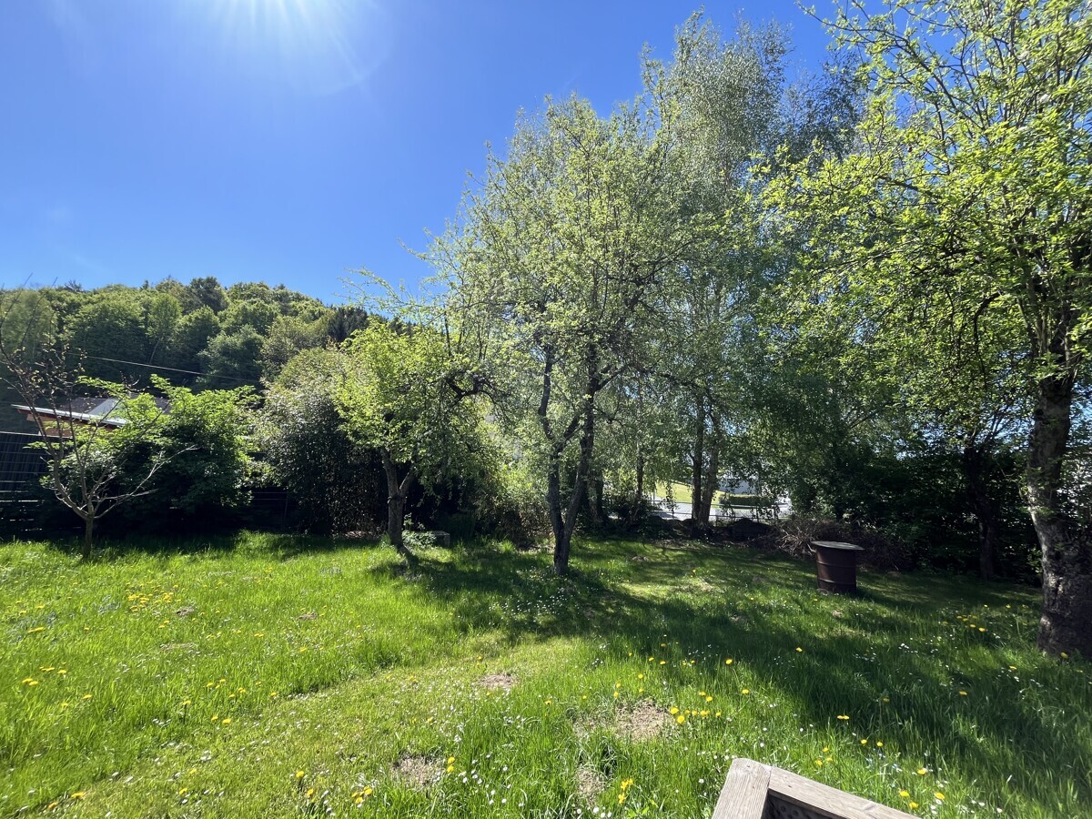 Garten Foto 2