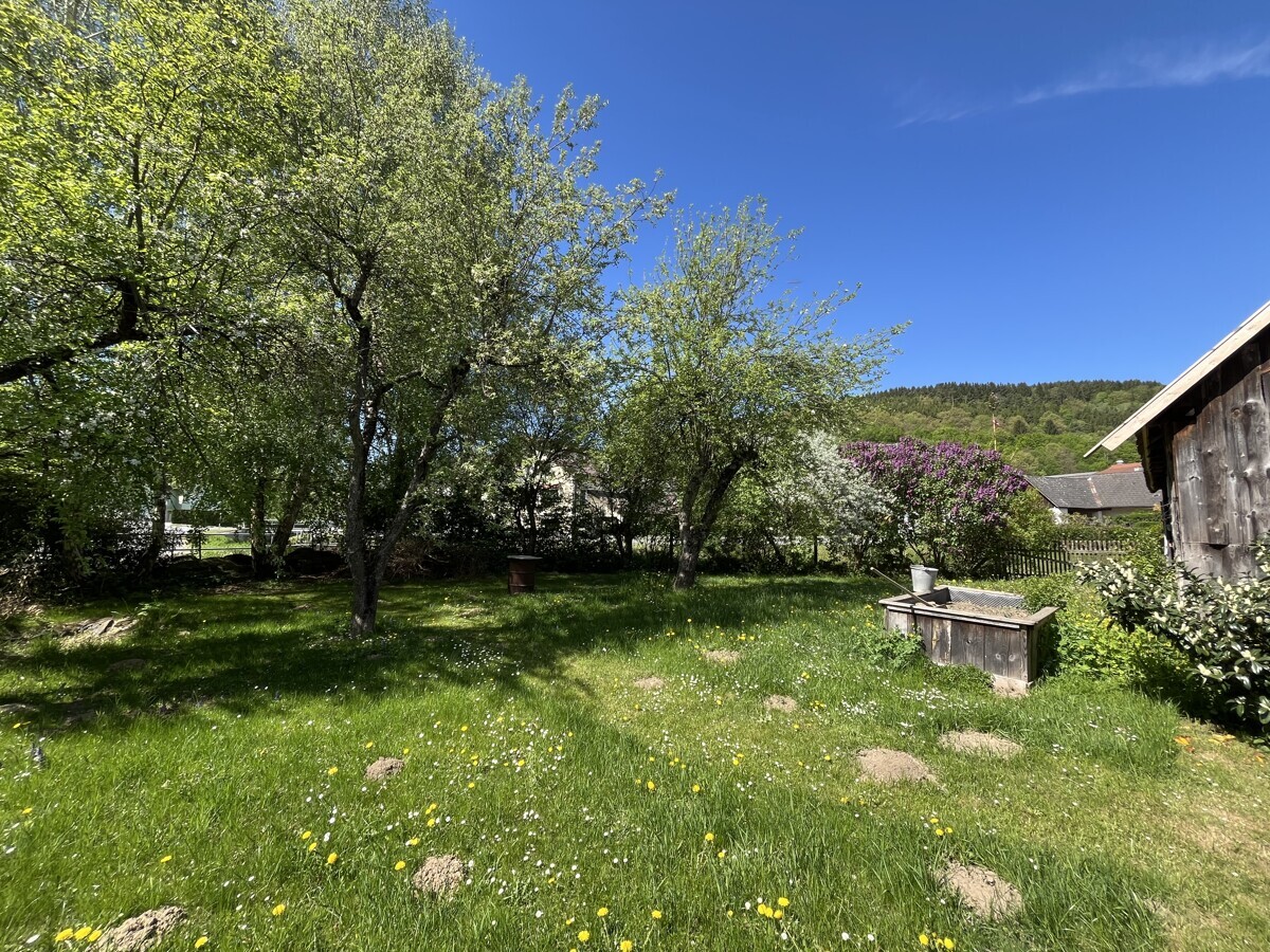 Garten Foto 1