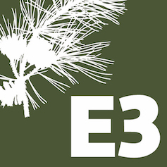 logo_e3