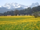 Frühling in Hopfen