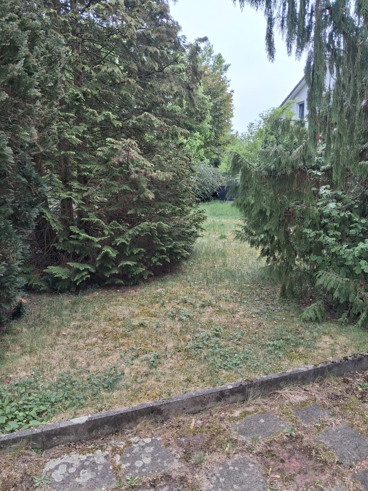 Grundstück Ansicht 3
