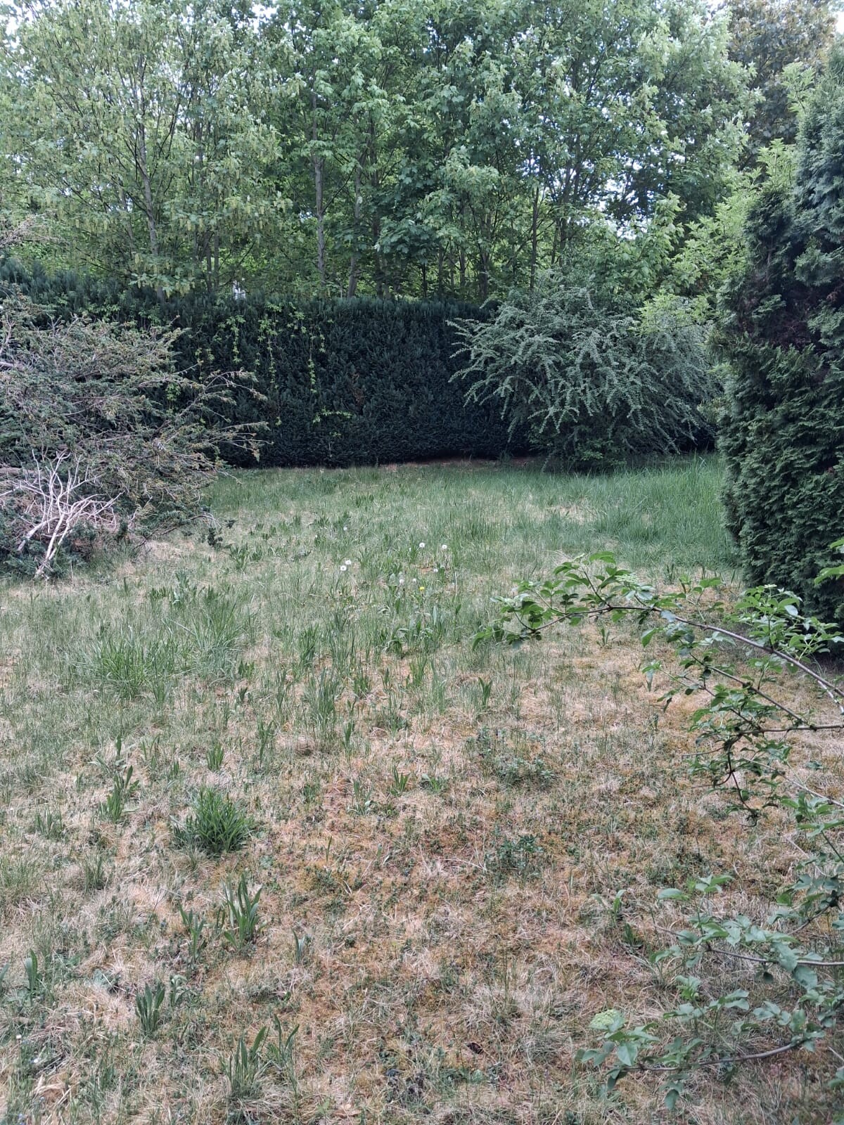 Grundstück Ansicht 2