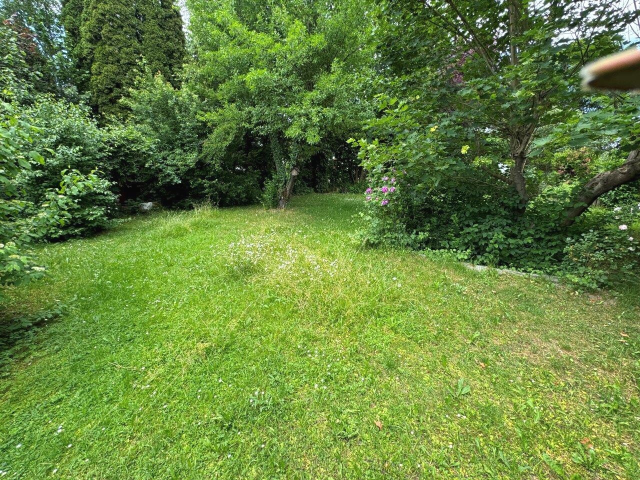 Süd Garten