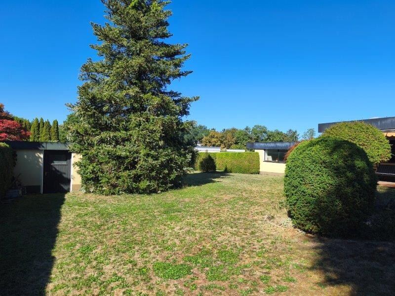 Ansicht Garten