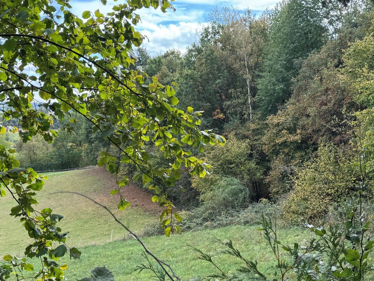 Blick vom Balkon 2