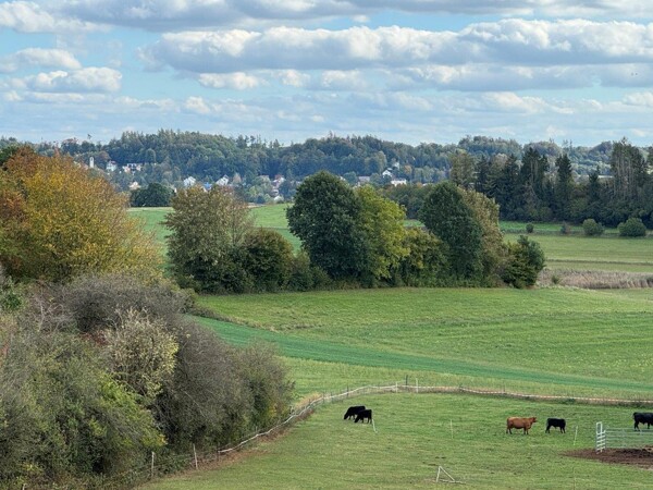Blick vom Grundst&uuml;ck
