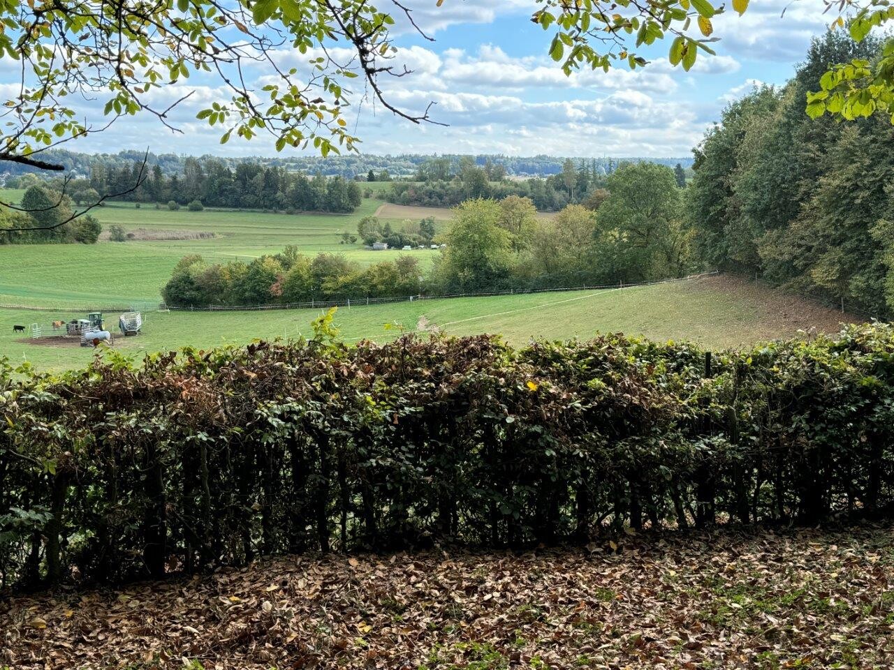 Weitblick