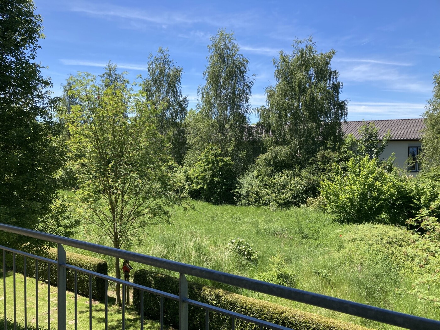 Blick ins Grüne