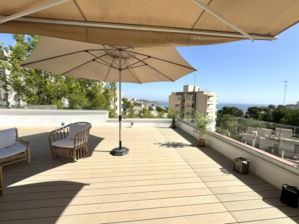 Penthouse San Augustin 1