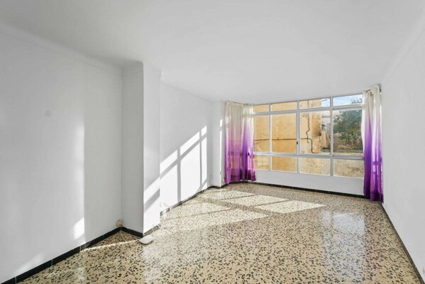 WhatsApp Image 2026-02-17 at 2.33.58 AM (1)