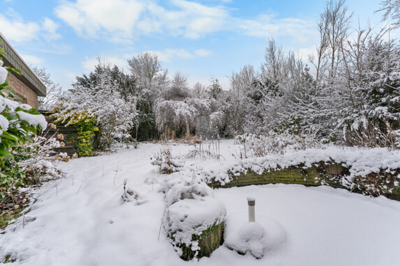 Blick in den Garten