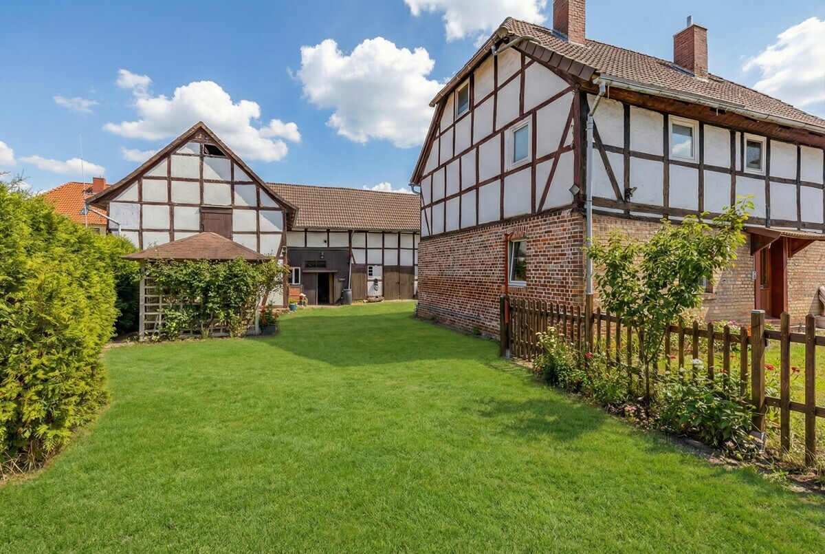 Beispielbilder Sommer