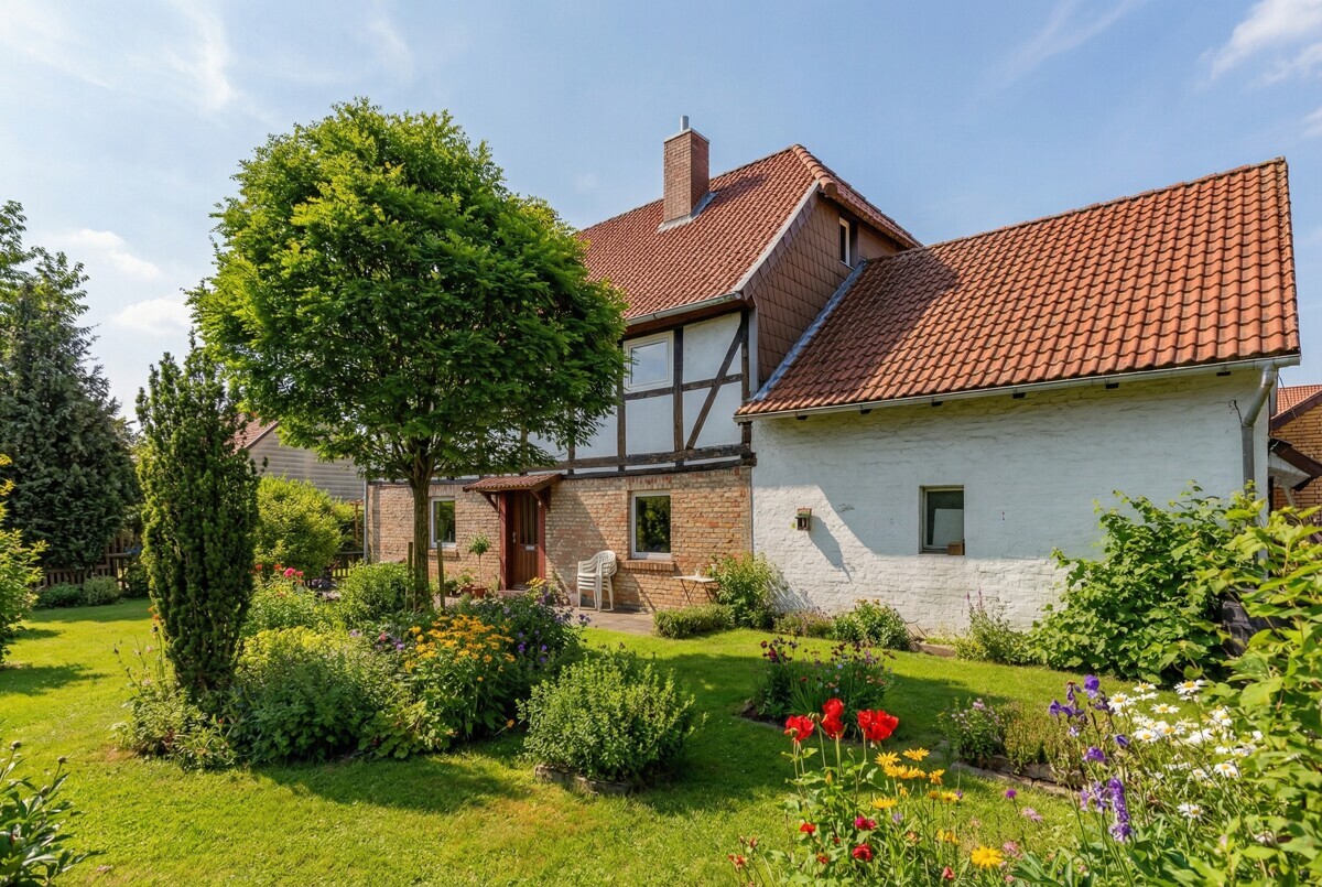 Beispielbilder Sommer