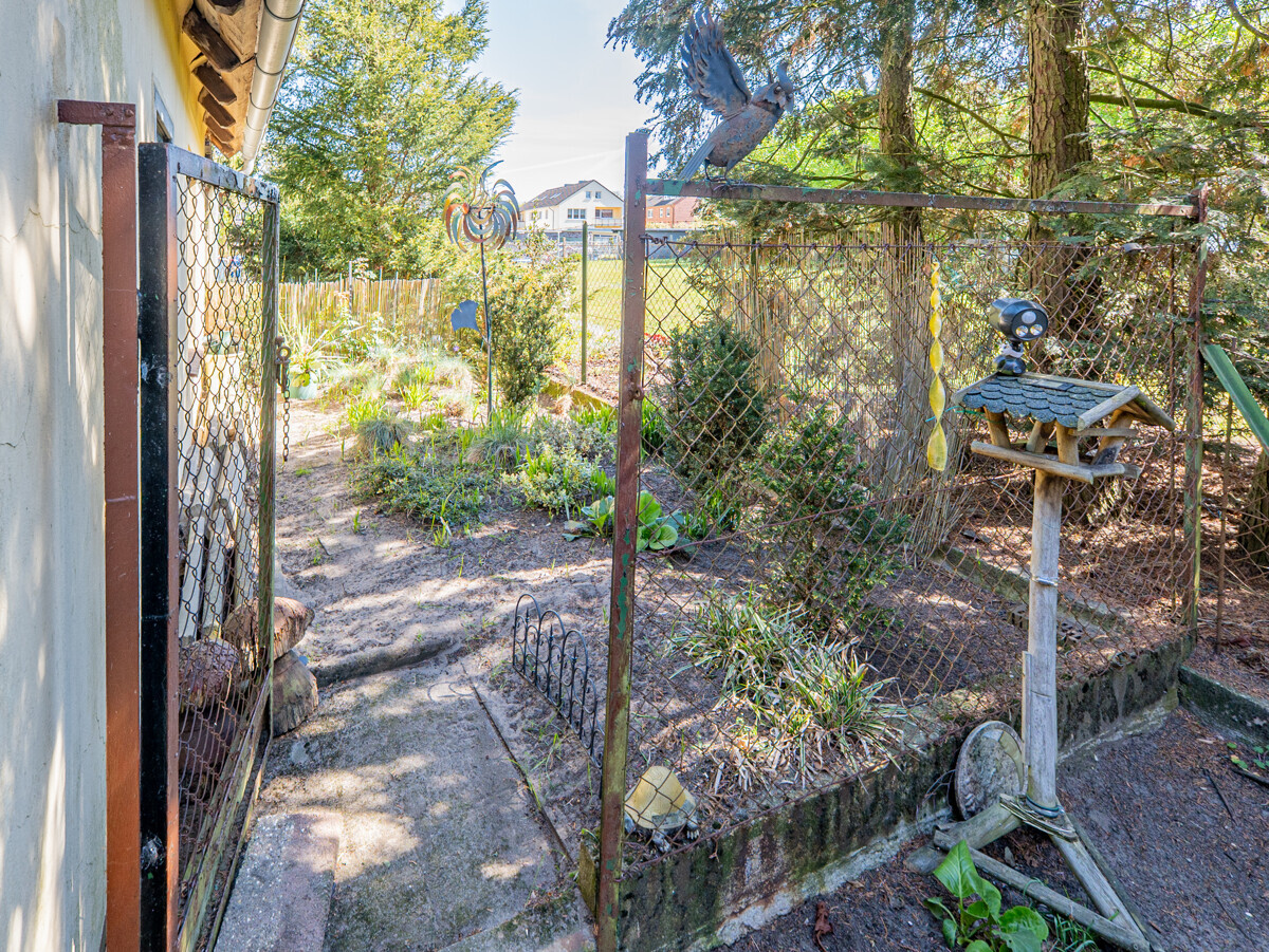 Seitlicher Eingang zum Garten