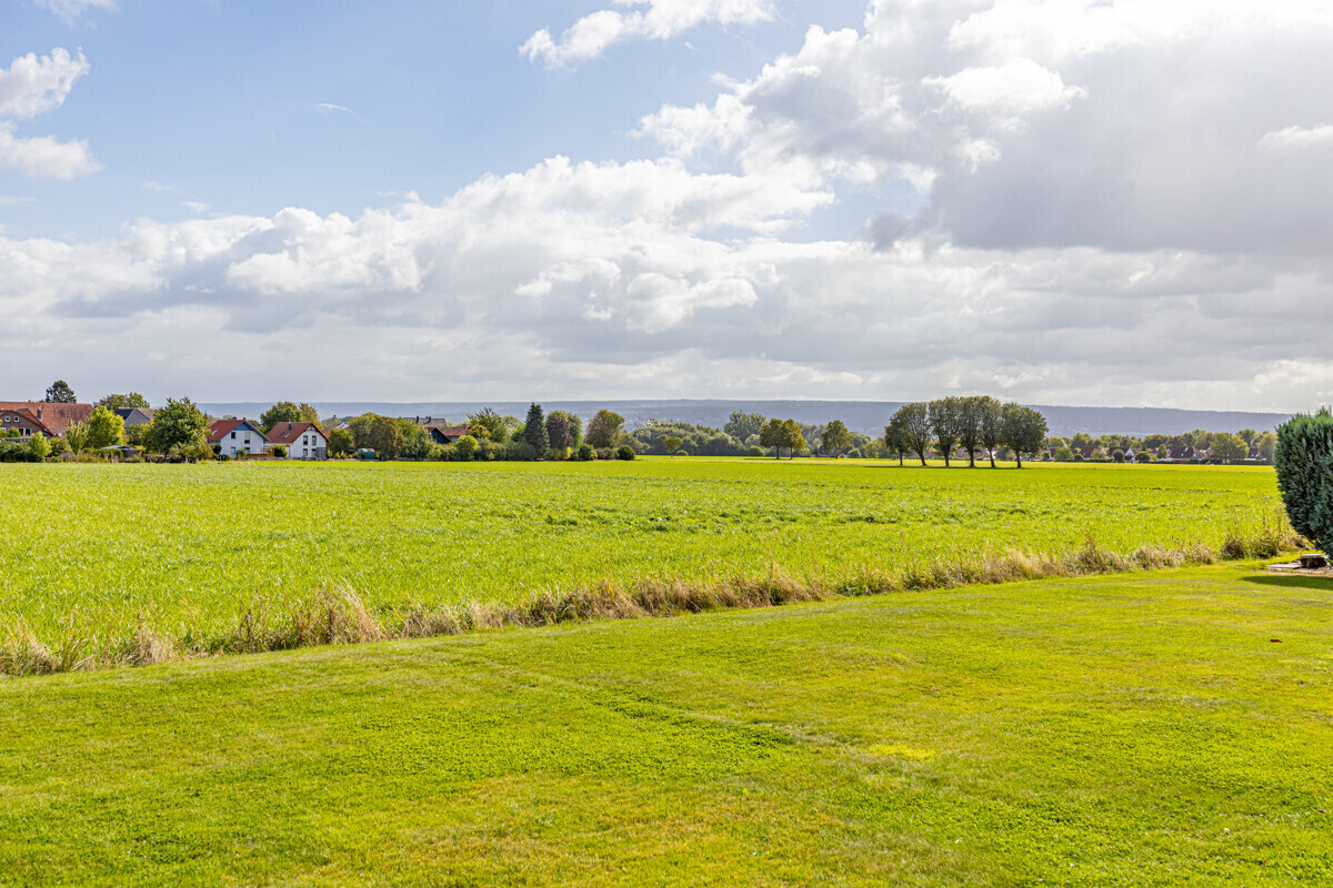 Blick aufs Feld