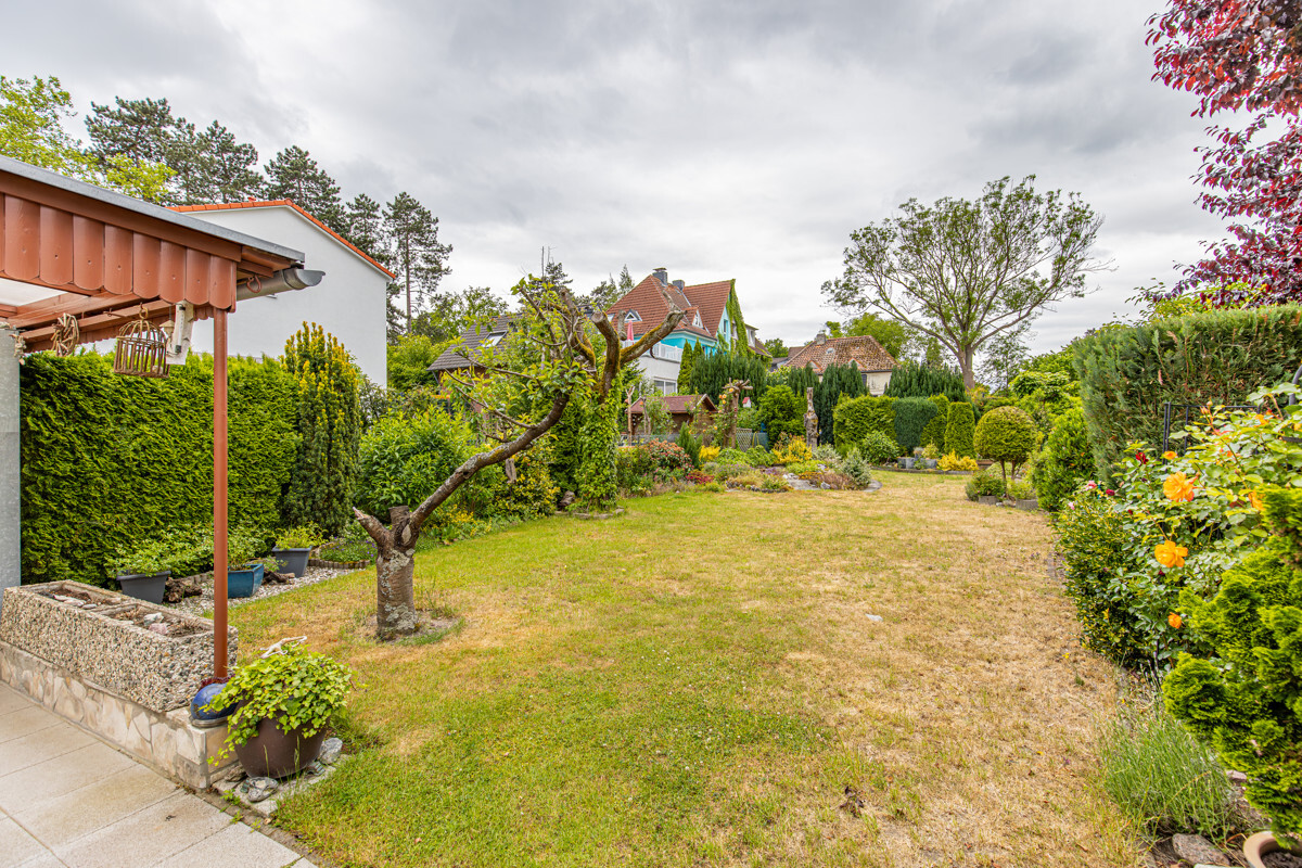 Blick in den Garten