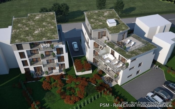 Luftbild ( Animation )