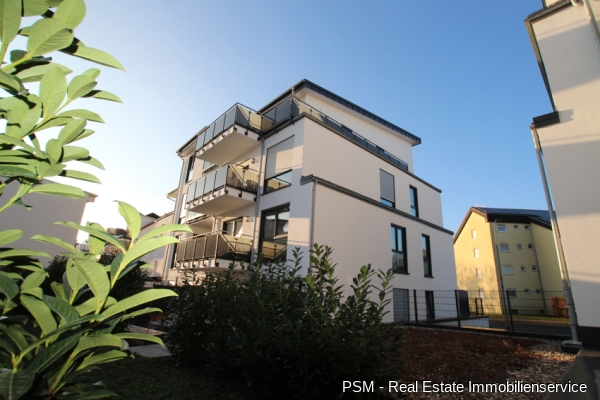 Blick von der Terrasse