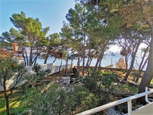 panorama-scouting-G413-8